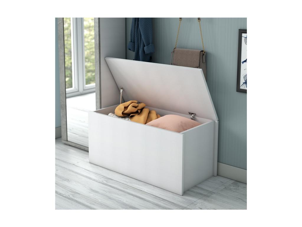 Banc of Storage Storage d'entrée and Bedroom 90x45 Modern Mobenze MQTC39674